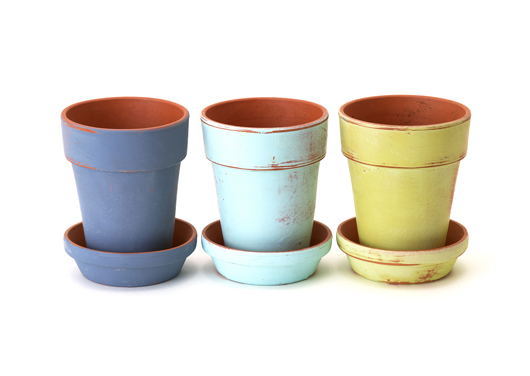 鉢　コロウスオブクレイ